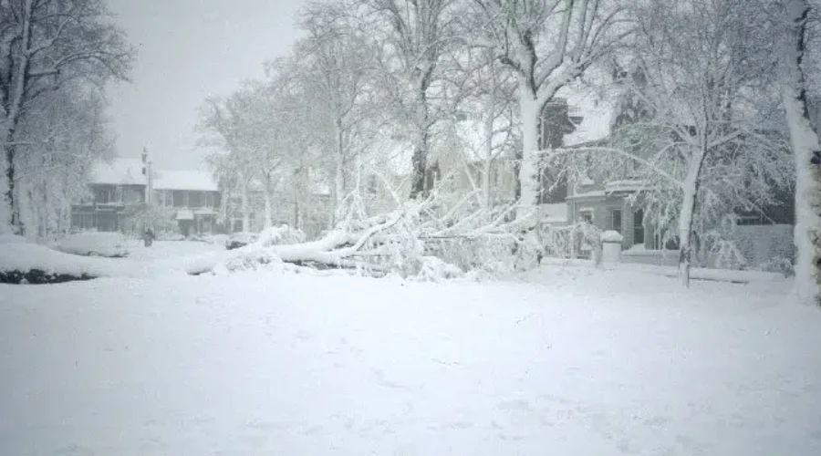 Preparing Your Home Or Business For Winter