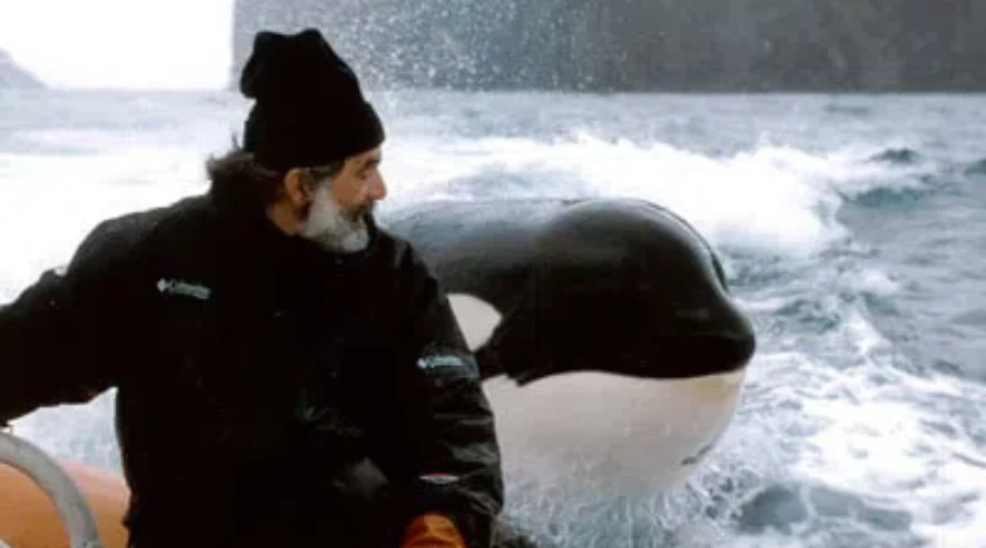 Whale sanctuary opens visitor centre