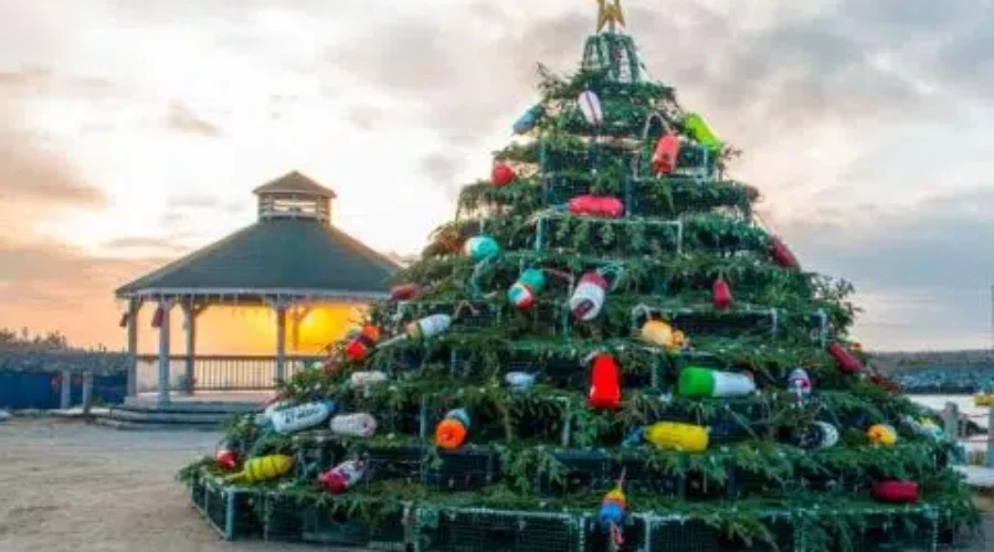 Barrington Lobster Trap Tree To Be Lit This Week