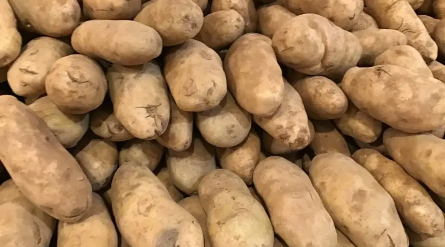 “There’s absolutely no reason that our fresh potatoes should not be going into the US.” – P.E.I. Potato Board