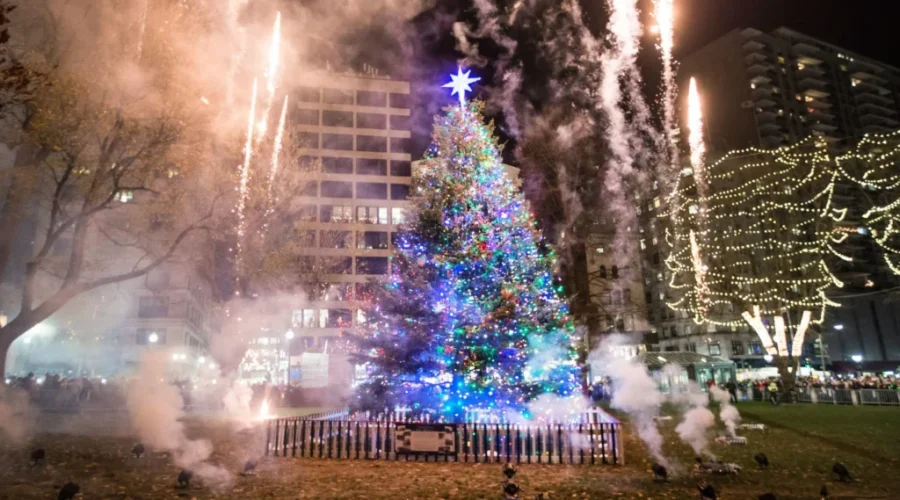 VIDEO: Deck the halls, Nova Scotia’s annual Christmas tree gift a Boston ‘superstar’