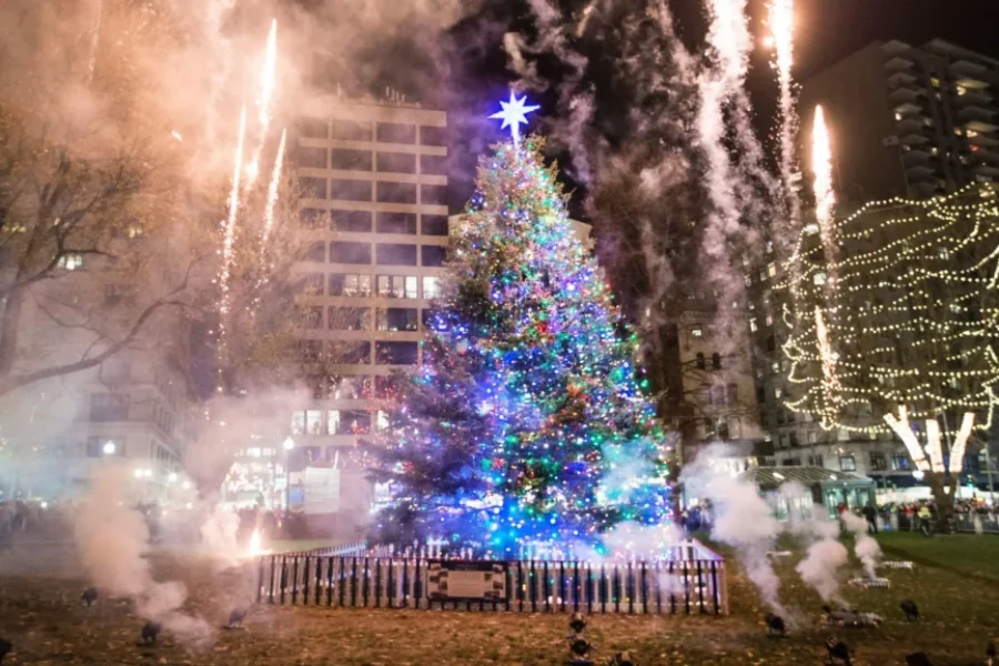 VIDEO: Deck the halls, Nova Scotia’s annual Christmas tree gift a Boston ‘superstar’