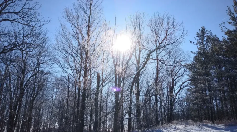 NCC: Nature Helping Canadians During the Pandemic