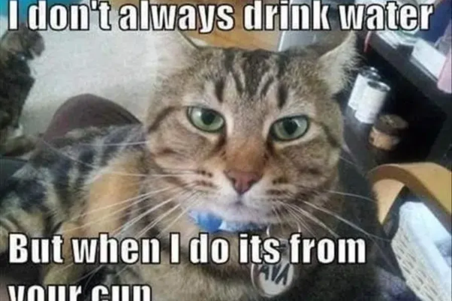 Our Pets Have People Names – Is That Strange?