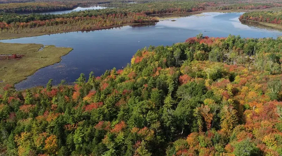 NCC Announces Upper Ohio Conservation Area