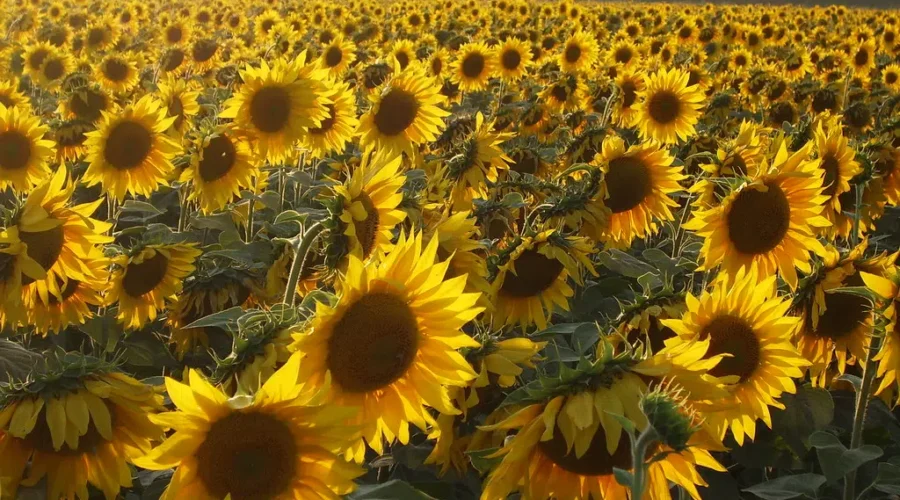 It’s The Little Things