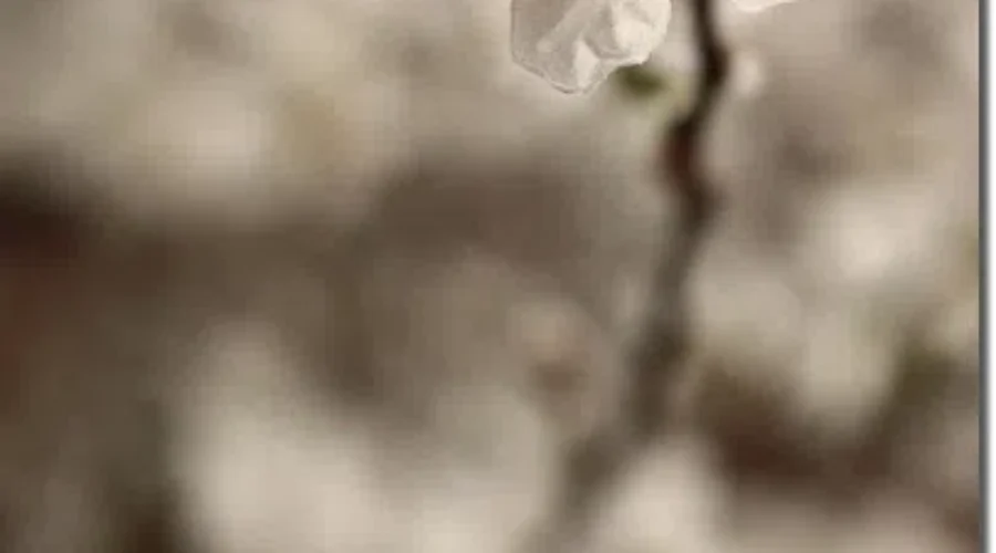 Good Things Coming Up