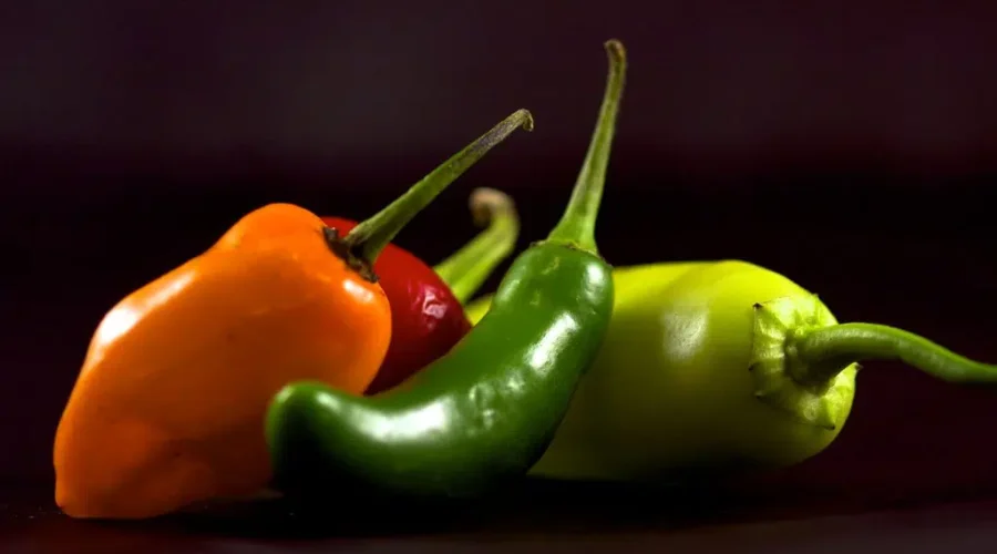 What Do You Dip Your Fries In? (No Ketchup)