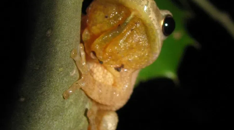 Maybe Just Go Back To Bed