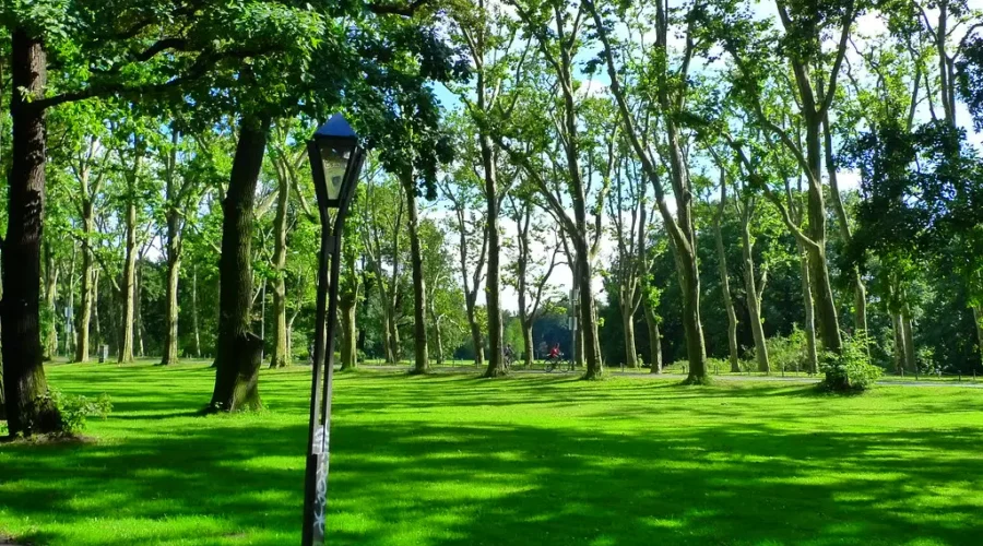 A Day To Walk In The Park