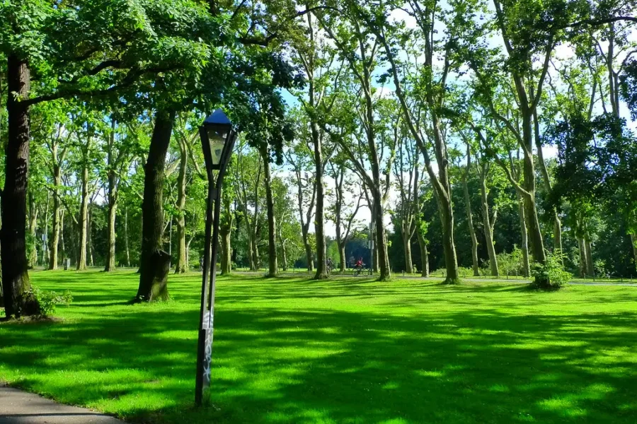 A Day To Walk In The Park