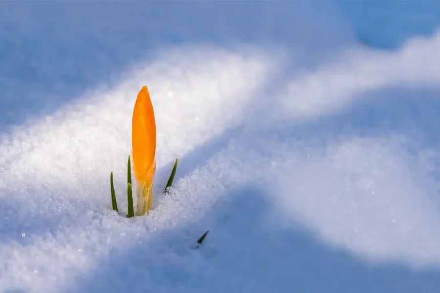 Nova Scotia’s spring forecast predicts winter storm risk