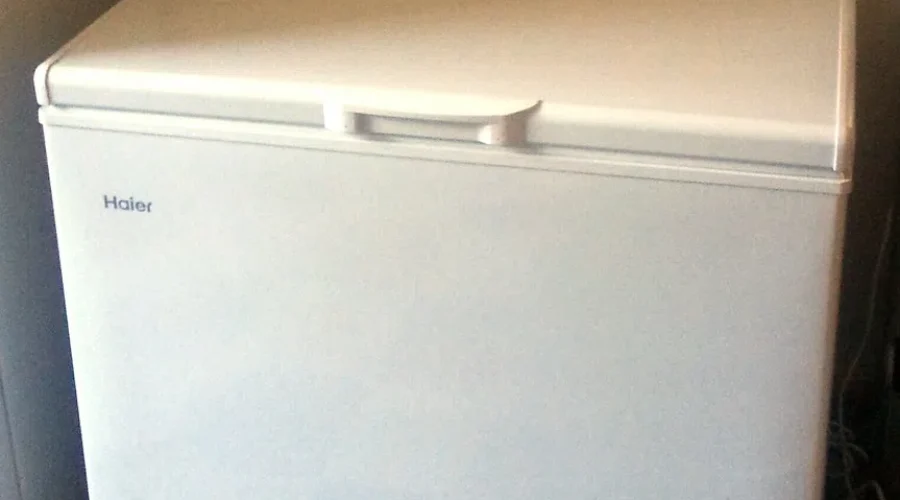 Things In My Freezer