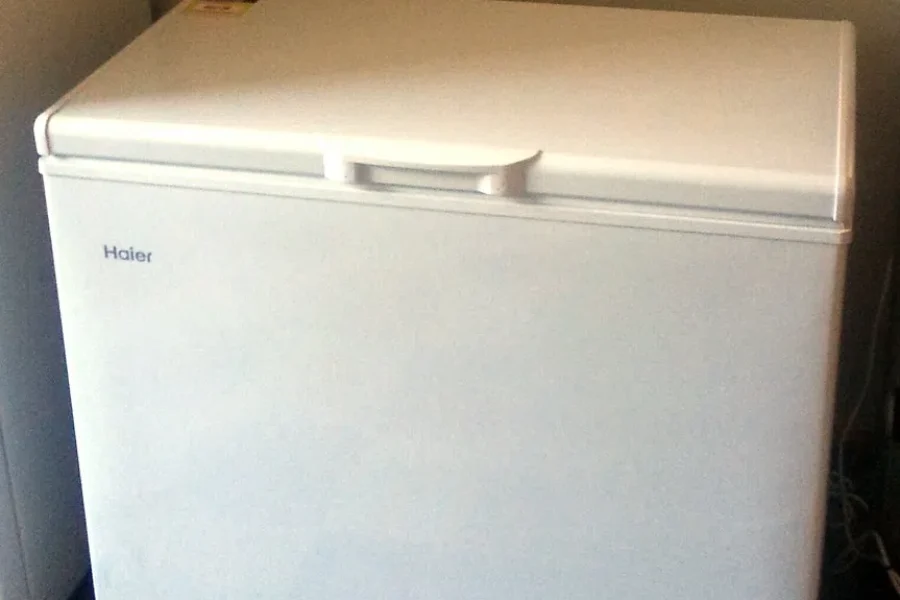 Things In My Freezer