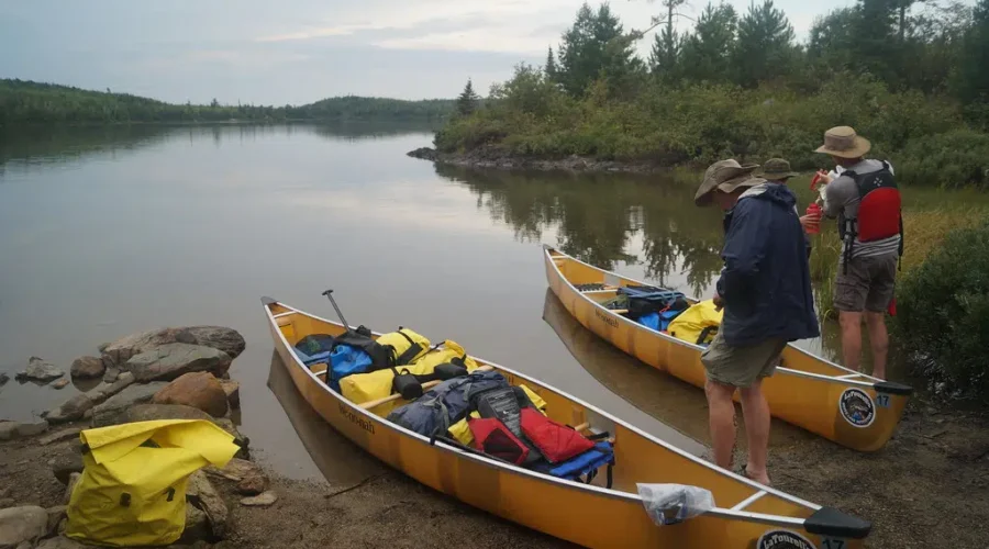 Down The Youtube Rabbit Hole!