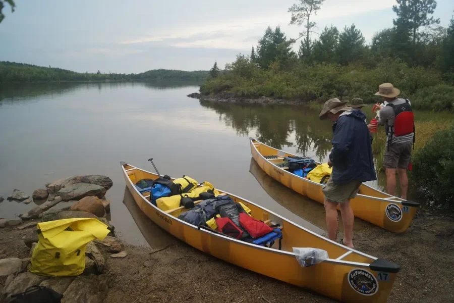 Down The Youtube Rabbit Hole!