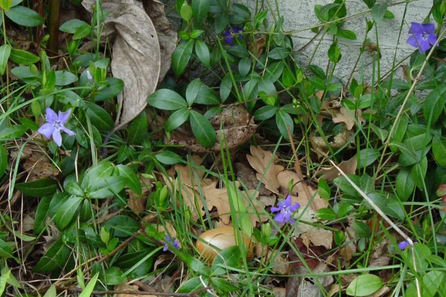 Hunting For Eggs