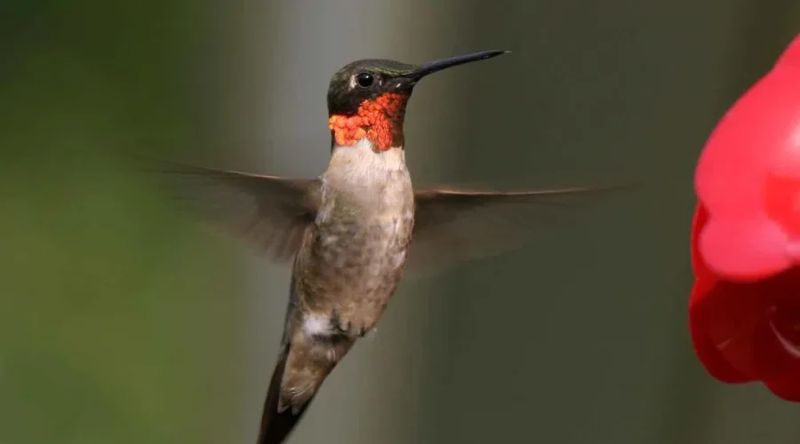 They’re On The Way