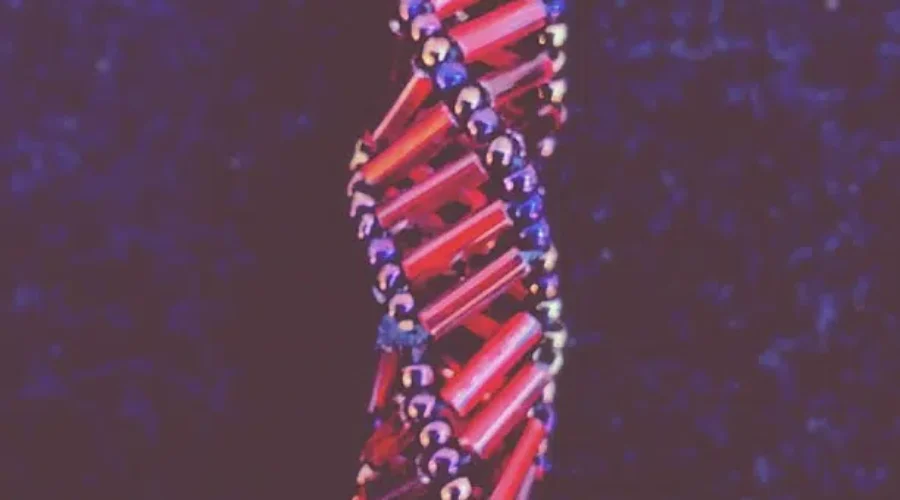 What’s In Your DNA?