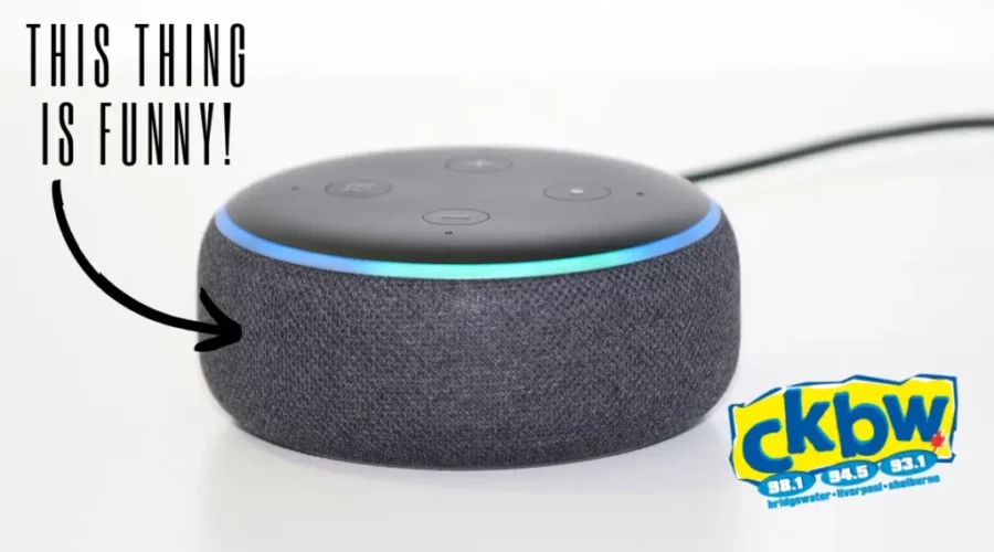 The Funniest Things To Ask Your Smart Speaker!