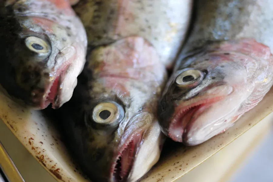 Where’s That Food From ?