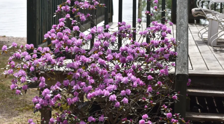 It Takes The Buzz Out Of Them