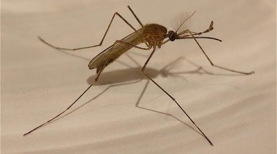 Maybe A Little Less Damp