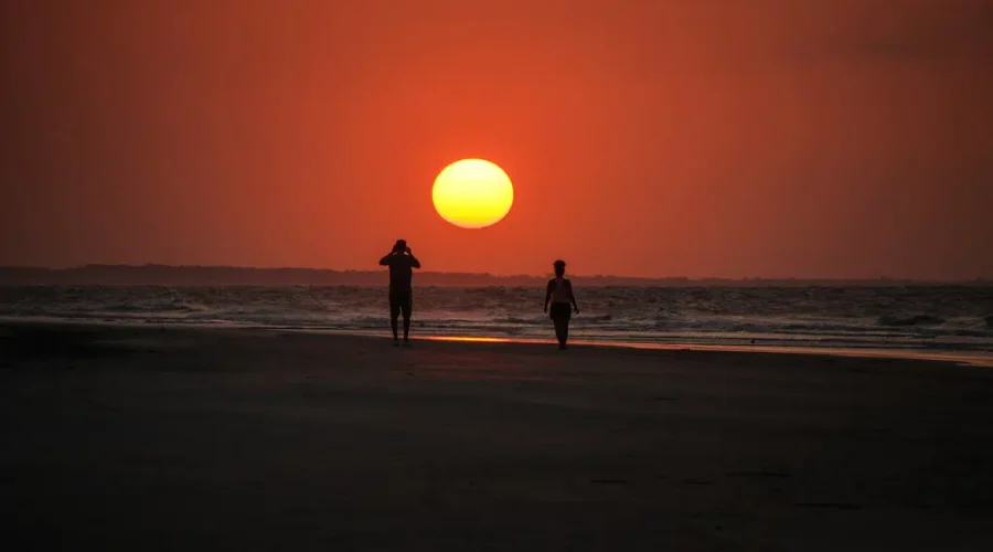 From Night Owl To Early Riser