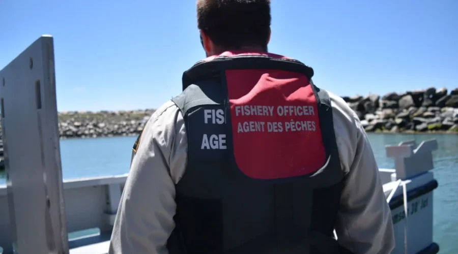 DFO undertaking major recruting effort, looking to hire 200 officers in next three years