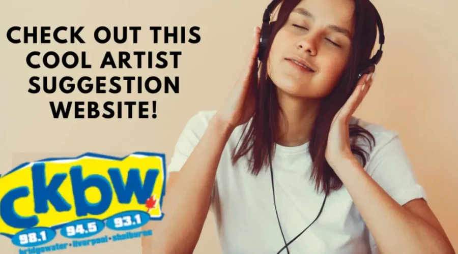 If You Like This Artist You Might Also Like…?