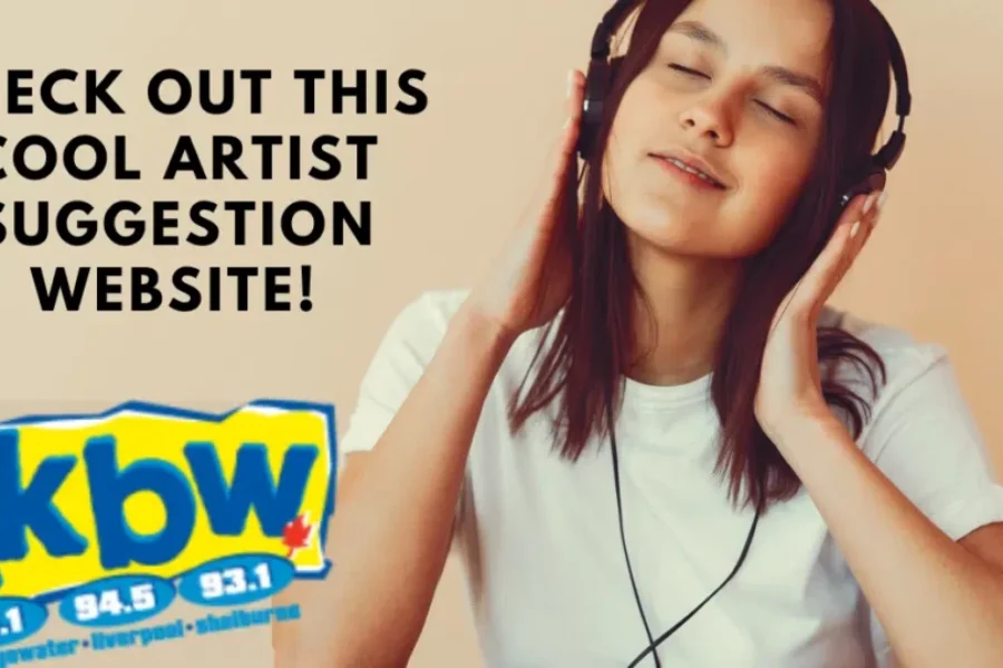 If You Like This Artist You Might Also Like…?