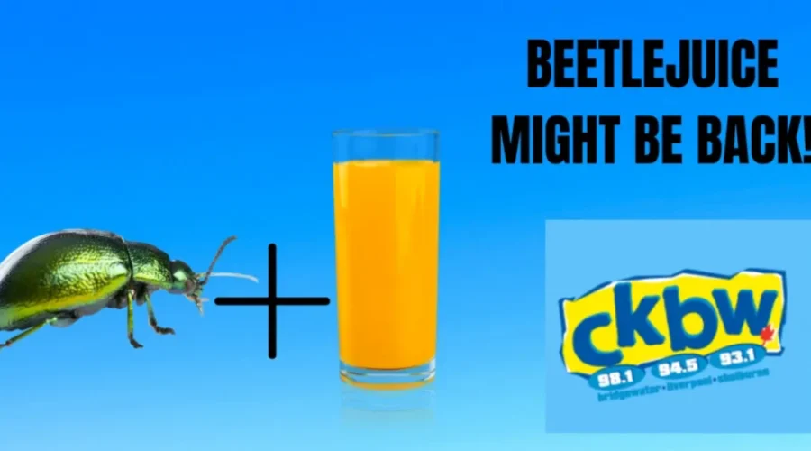 Beetlejuice Might Be Coming Back! Here’s What We Know So Far!