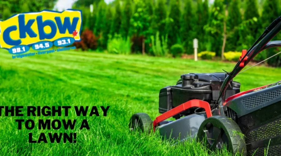 It’s Mow Season! How Long Does It Take To Mow Your Lawn? Check Out These tips!