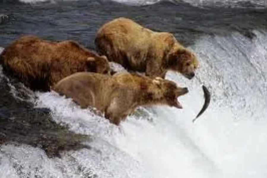 The Chow Down Warm Up
