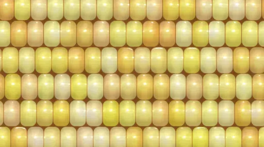 Another Seasonal Treat