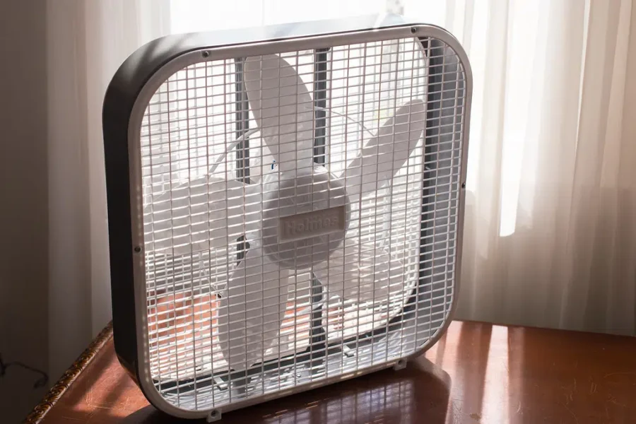 A Fan Of The Fan