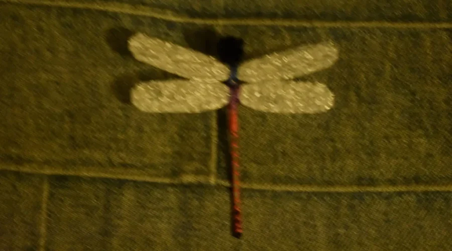 How To Train Your Dragon(fly)