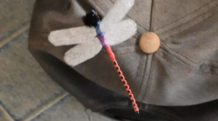 The Dragonfly Diaries – Part 2