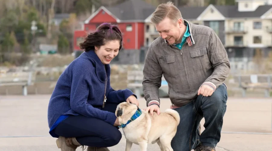 N.S. pet sitters see business boom as pandemic restrictions drop