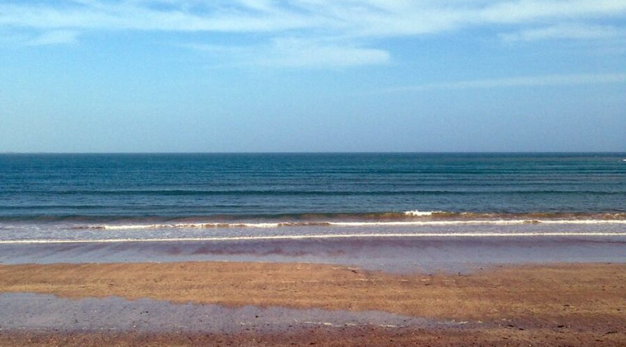 CIBC Poll Finds Inflation Taking Toll On Summer Plans