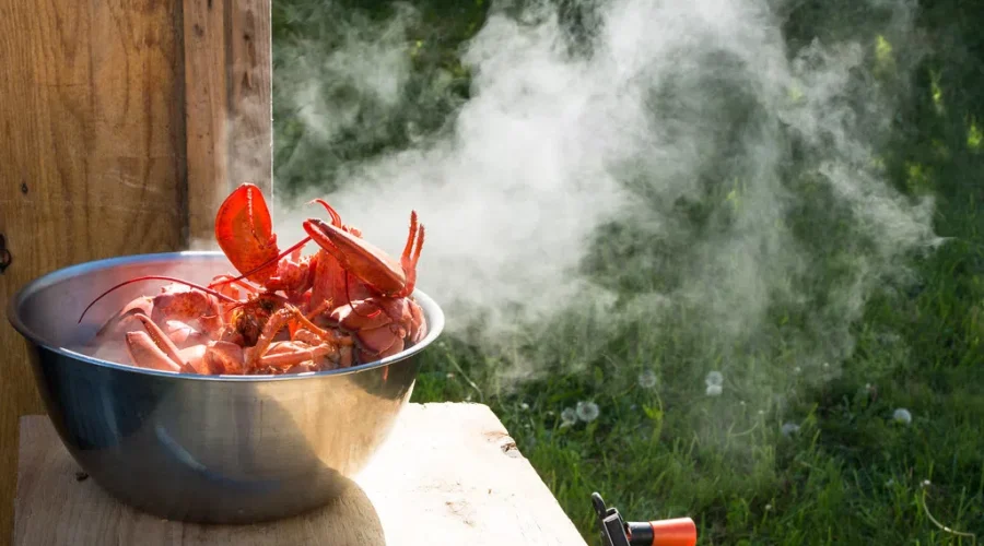 What’s The Best Thing You Experienced So Far This Summer?