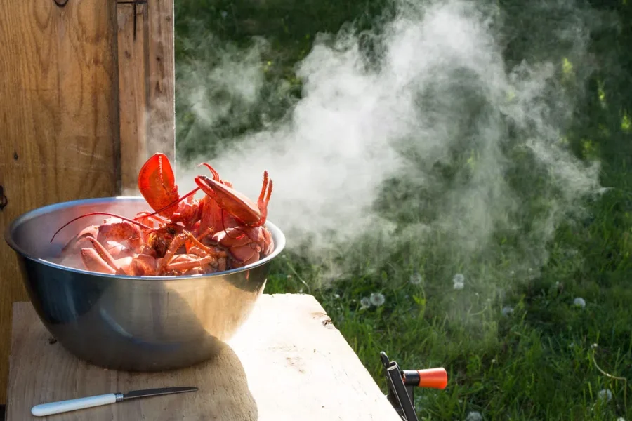 What’s The Best Thing You Experienced So Far This Summer?