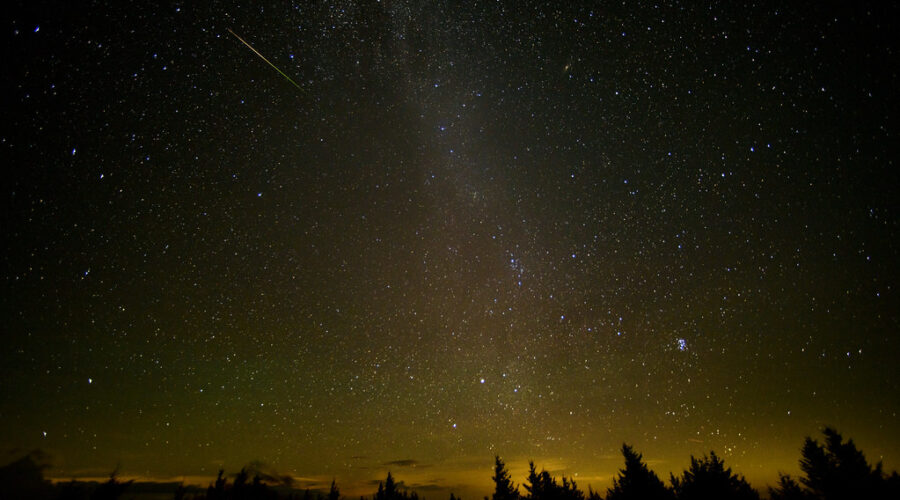 Enjoying The Perseids Meteor Shower