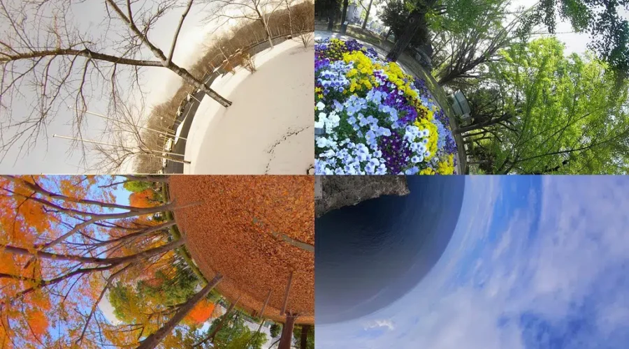 4 Seasons But You Can Only Pick One!