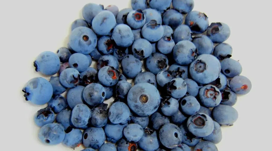 Blueberries – What Do You Make?