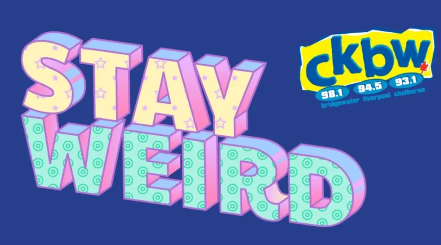 WATCH- The First Trailer For The Weird Al Al Yankovic Movie