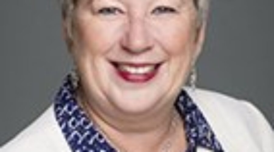 Former Fisheries Minister takes job with domestic violence non-profit