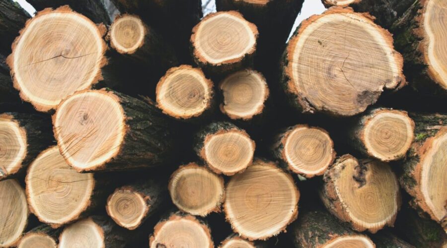 Canada Formally Challenges U.S. Softwood Lumber Duties