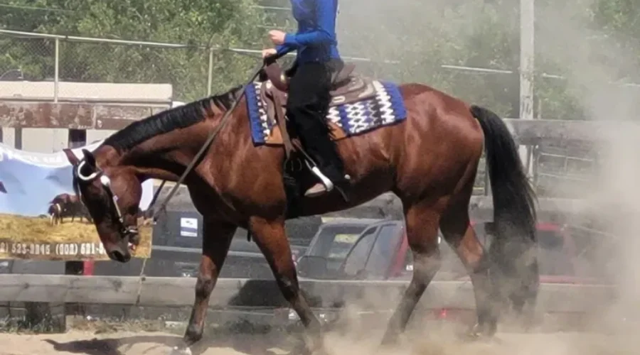 Athlete Of The Week: Madelyn Simpson