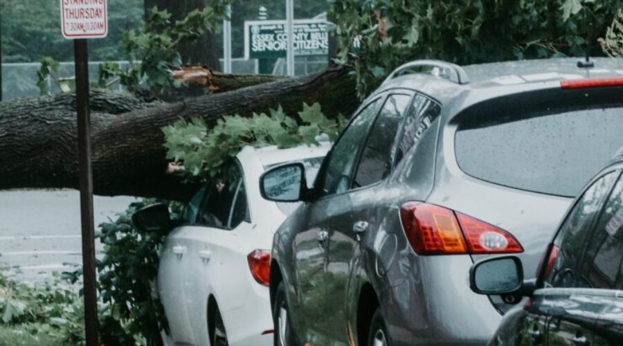 Active Hurricane season forecasted for Atlantic Canada